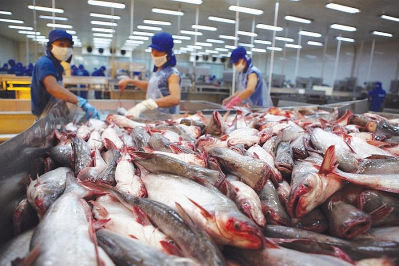 Thị trường Bắc Âu nhỏ, khó tính, chủ yếu nhập khẩu từ các nước xung quanh, nên thủy sản Việt Nam khó có cơ hội tăng kim ngạch nếu không nghiên cứu phát triển sản phẩm có giá trị gia tăng, phù hợp với thị trường đích…