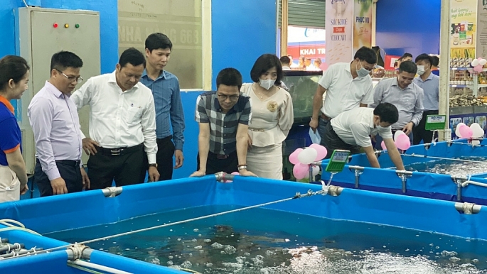 Ngày 29/4/2022, tại khu chợ Đầu mối Đền Lừ, Hoàng Mai, Hà Nội đã diễn ra buổi lễ khai trương Chuỗi thủy sản an toàn CHOCAVI (Chợ cá Việt).