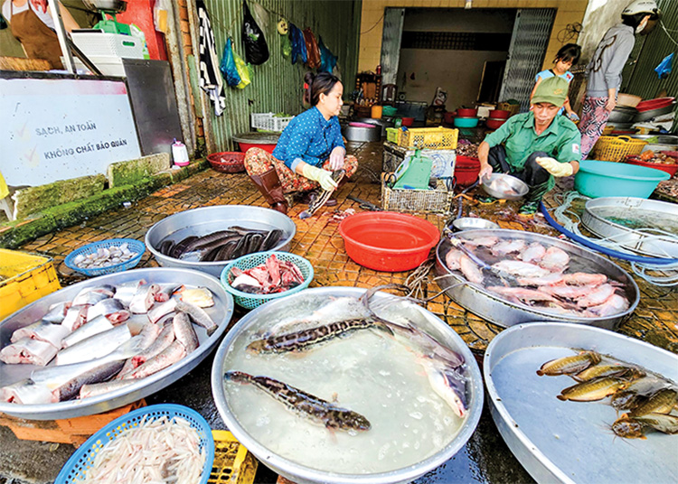 Giá nhiều loại cá nuôi giảm