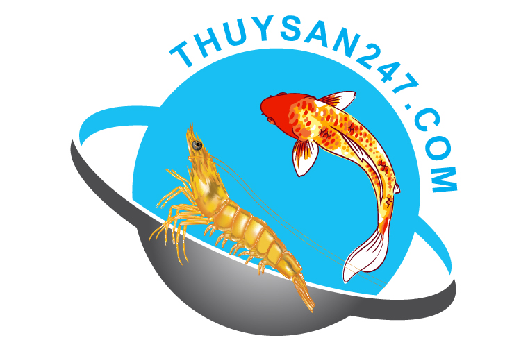 BQT website THUYSAN247.COM kính gửi đến quý độc giả phần giới thiệu và những hoạt động chính của THUYSAN247