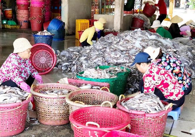 Trung Quốc tổ chức đoàn ngoại giao đi tham quan cơ sở đánh cá để phản hồi cáo buộc IUU