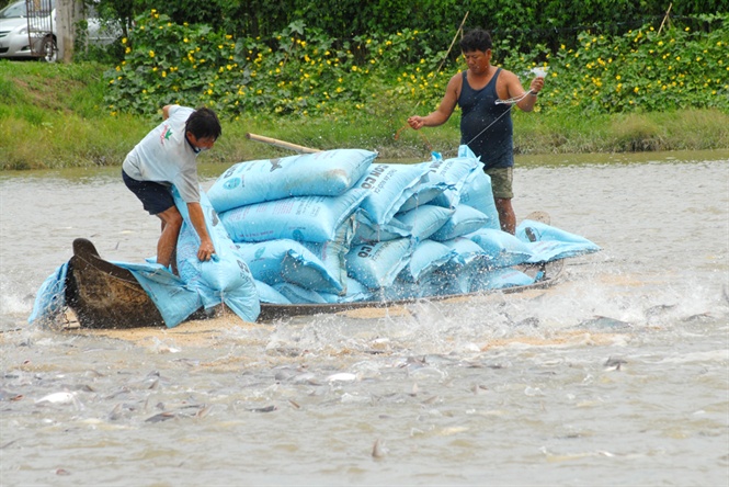 Theo Hiệp hội Chế biến và Xuất khẩu Thủy sản Việt Nam (Vasep), với kịch bản khả quan, năm nay Thủy sản sẽ về đích với kim ngạch xuất khẩu dự kiến 9 tỷ USD. Sản phẩm thủy sản chế biến sâu có giá trị gia tăng cao là tín hiệu lạc quan cho thời gian tới.
