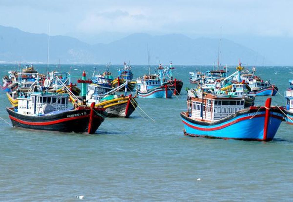 Nhiều nỗ lực trong gỡ 'thẻ vàng' cho thủy sản Việt Nam