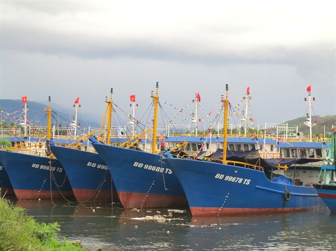 Với định hướng trở thành trung tâm nghề cá năng động của tỉnh Bình Định trong tương lai, huyện Hoài Nhơn đã có những bước chuyển, hướng ngư dân đến với nghề cá hiện đại.