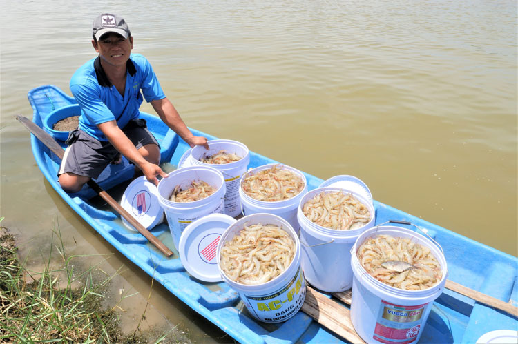 Dùng thiên nhiên để cải thiện thiên nhiên trong nuôi thủy sản