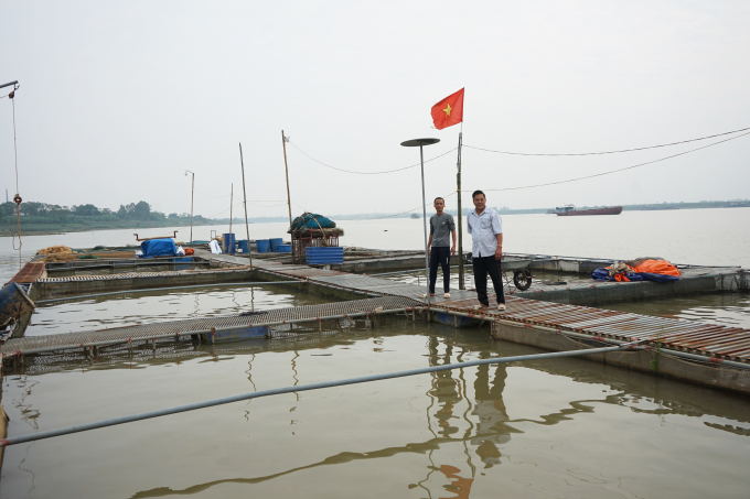 Tàn nhưng không phế, thương binh hạng 2/4 Nguyễn Quang Tiếp, 66 tuổi, hiện đang làm chủ 20 lồng cá trên sông Hồng cho doanh thu 6 tỷ đồng/năm.