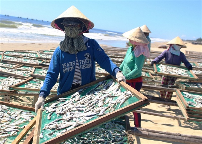Năm nào cũng vậy, từ tháng 10 âm lịch, các làng nghề bắt đầu nhộn nhịp chuẩn bị các mặt hàng cung ứng cho thị trường tết. Nghề làm cá khô ở thị trấn Sông Đốc, huyện Trần Văn Thời phát triển gắn liền với đánh bắt thuỷ sản, vì thế từ lâu đã hình thành làng nghề.