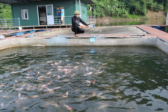 Hiện nay, trên địa bàn Hòn Lăng, xã Ninh Ích (thị xã Ninh Hòa), người nuôi cá lồng bè đứng ngồi không yên khi cá chết liên tục. Nguyên nhân ban đầu được xác định chủ yếu là do môi trường nuôi không đảm bảo.
