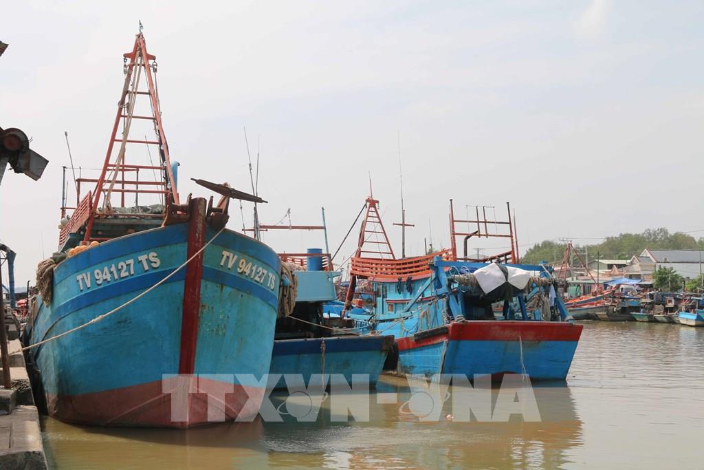 Trà Vinh sản lượng đánh bắt thủy sản giảm gần 12.000 tấn