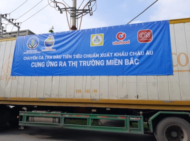 Ngày 6/10, lô cá tra đầu tiên sản xuất theo tiêu chuẩn xuất khẩu Châu Âu đã có mặt tại Hà Nội để phân phối tại thị trường miền Bắc.