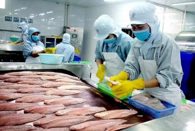Tính đến nửa đầu tháng 8/2020, tổng giá trị XK cá tra sang Trung Quốc – Hồng Kông đạt 271 triệu USD, giảm 22,6% so với cùng kỳ năm trước. Trước đó, tháng 7/2020, giá trị XK sang thị trường này đạt 42,36 triệu USD, giảm 35,5% so với cùng kỳ năm 2019.
