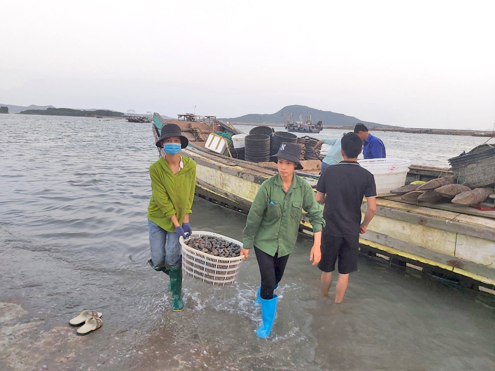 Hải Hà: Phát triển nuôi trồng thủy sản
