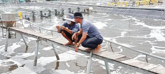 Ngành thủy sản hiện chiếm 28,7% tổng giá trị toàn ngành nông lâm ngư nghiệp, song cũng là ngành sản xuất gây ra ô nhiễm môi trường. Vì vậy, chuyển đổi xanh và sản xuất tuần hoàn, giảm phát thải khí nhà kính trong ngành thủy sản là xu hướng tất yếu…