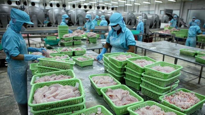 Theo Hiệp hội Chế biến và xuất khẩu thủy sản Việt Nam (VASEP), ngành thủy sản hiện nằm trong top 3 sau Trung Quốc và Na Uy về xuất khẩu (XK) trên thế giới. Trong 7 tháng đầu năm, ngành thủy sản Việt Nam đã ghi nhận mức hồi phục nhanh kỷ lục lần đầu tiên trong 20 năm qua là XK được 6,7 tỷ USD, tăng 35%