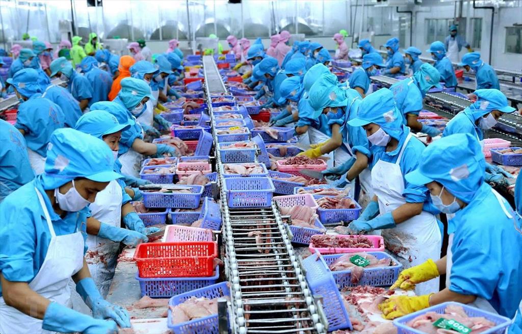 Theo số liệu thống kê của Hải quan Việt Nam, tháng 9/2023, Đức mua gần 6 triệu USD cá tra từ Việt Nam, tăng gấp 2,5 lần so với cùng kỳ năm ngoái sau 3 tháng liên tục sụt giảm.