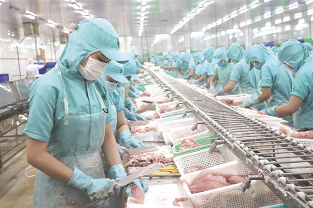 Theo số liệu của Hải quan Việt Nam, tháng 4/2024, XK cá tra của Việt Nam sang Hàn Quốc đạt gần 773 nghìn USD, tăng gần gấp 3,5 lần so với tháng 4/2023 và giảm 16% so với tháng trước đó. Lũy kế XK cá tra sang quốc gia này trong 4 tháng đầu năm nay đạt hơn 2,4 triệu USD, tăng 18% so với cùng kỳ năm ngoái.