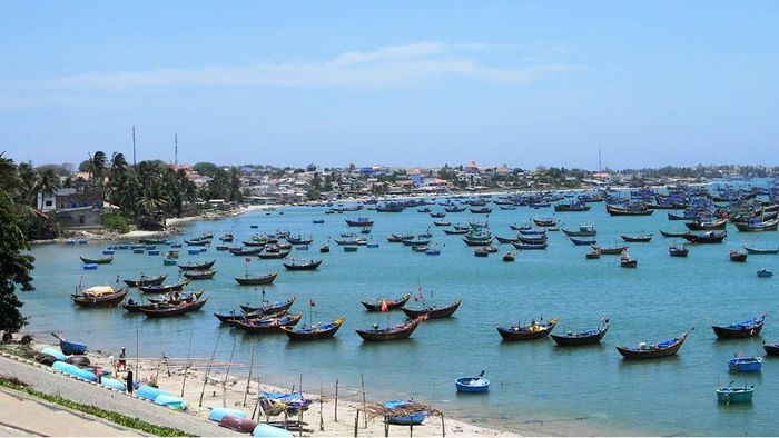Qua gần 4 năm chống khai thác hải sản bất hợp pháp, không báo cáo và không theo quy định (IUU), gỡ 'thẻ vàng', Ủy ban châu Âu (EC) tiếp tục đưa ra 4 nhóm khuyến nghị yêu cầu Việt Nam cần thực hiện.