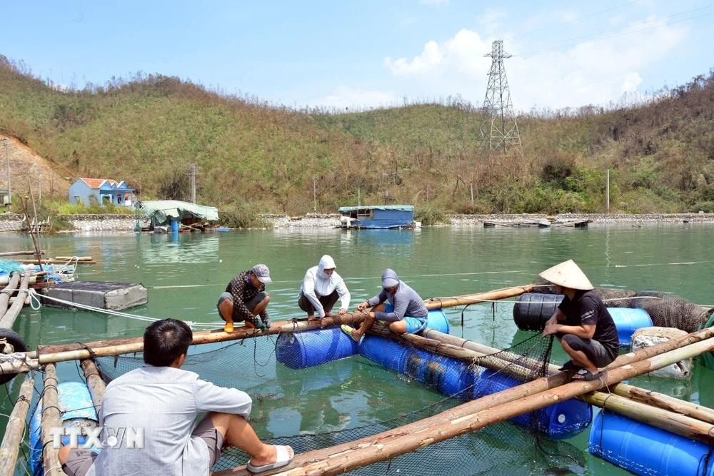 Các địa phương đang tập trung phục hồi sản xuất nông nghiệp, tuy nhiên với một số ngành chịu thiệt hại lớn về cơ sở vật chất thì sẽ mất nhiều thời gian và cần nhiều nguồn lực để có thể tái thiết.