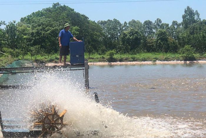Ninh Bình: Nông dân Kim Sơn chuẩn bị cho vụ nuôi thủy sản mới