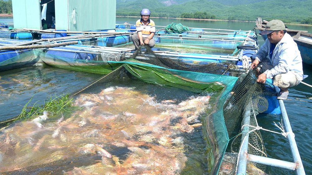Điều tra thủy sản – cơ sở để hoạch định các chính sách phát triển ngành thủy sản
