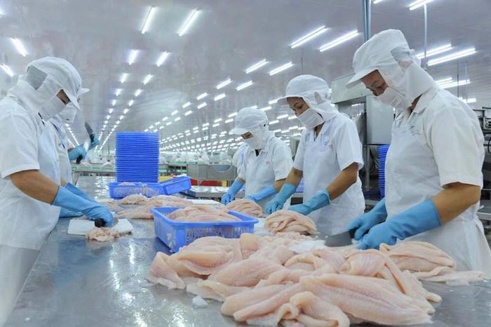 Tháng 5/2022, tổng xuất khẩu các sản phẩm hải sản của Việt Nam đạt gần 358 triệu USD, tăng 22% so với cùng kỳ năm 2021. 5 tháng đầu năm 2022, xuất khẩu các sản phẩm này đạt gần 1,7 tỷ USD, tăng 25% so với cùng kỳ năm ngoái. Hiện xuất khẩu hải sản chiếm 35% tổng giá trị xuất khẩu thuỷ sản của cả nước.