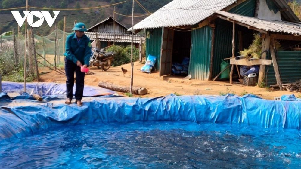 Việt Nam xếp thứ 6 thế giới về sản lượng sản xuất cá tầm