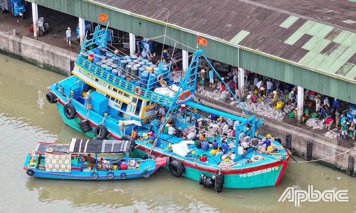 Với những lợi thế hiện có, Tiền Giang đang tập trung các giải pháp để phát triển kinh tế thủy sản trở thành động lực quan trọng trong chiến lược phát triển kinh tế biển.