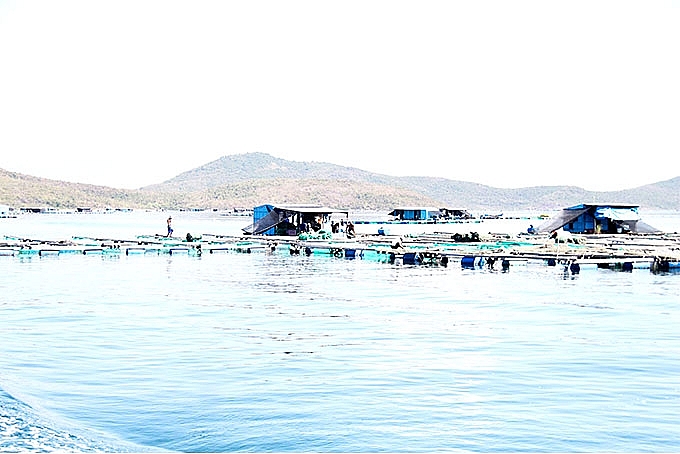 Nhu cầu nuôi trồng thủy sản (NTTS) trên các vùng biển thuộc huyện Vạn Ninh (tỉnh Khánh Hòa) rất lớn, trong khi khu vực mặt nước quy hoạch nuôi lại hạn chế nên các khu vực này luôn trong tình trạng quá tải.