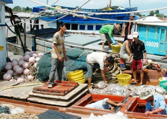 Hơn 1.300 tàu cá ở Bạc Liêu cam kết phòng dịch được hoạt động trở lại