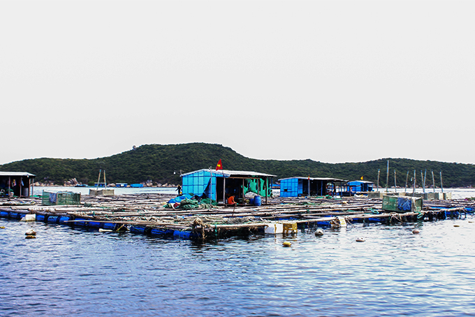 Quy hoạch phát triển thủy sản của tỉnh Khánh Hòa đã hết hiệu lực từ năm 2018 khiến công tác quản lý nuôi trồng thủy sản (NTTS) trên địa bàn huyện Vạn Ninh gặp nhiều khó khăn. 