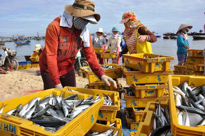 Thứ trưởng Bộ Nông nghiệp và Phát triển nông thôn Phùng Đức Tiến cho biết Việt Nam sẽ phấn đấu gỡ thẻ vàng sớm nhất, không để ảnh hưởng đến việc xuất khẩu thủy sản sang thị trường châu Âu cũng như các thị trường khác