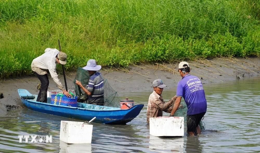 Kiên Giang: Hiệu quả từ mô hình nuôi xen canh thủy sản an toàn sinh học