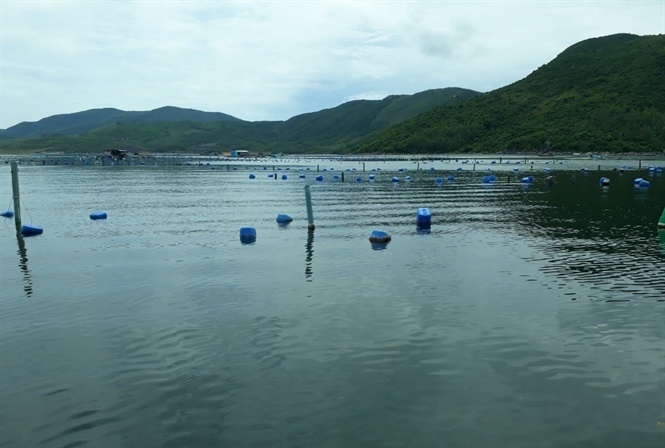 Trung tâm Quan trắc Môi trường và bệnh thủy sản miền Trung, thuộc Viện Nghiên cứu Nuôi trồng thủy sản III khuyến cáo người nuôi trồng thủy sản tại TX Sông Cầu, tỉnh Phú Yên trước mùa mưa bão.