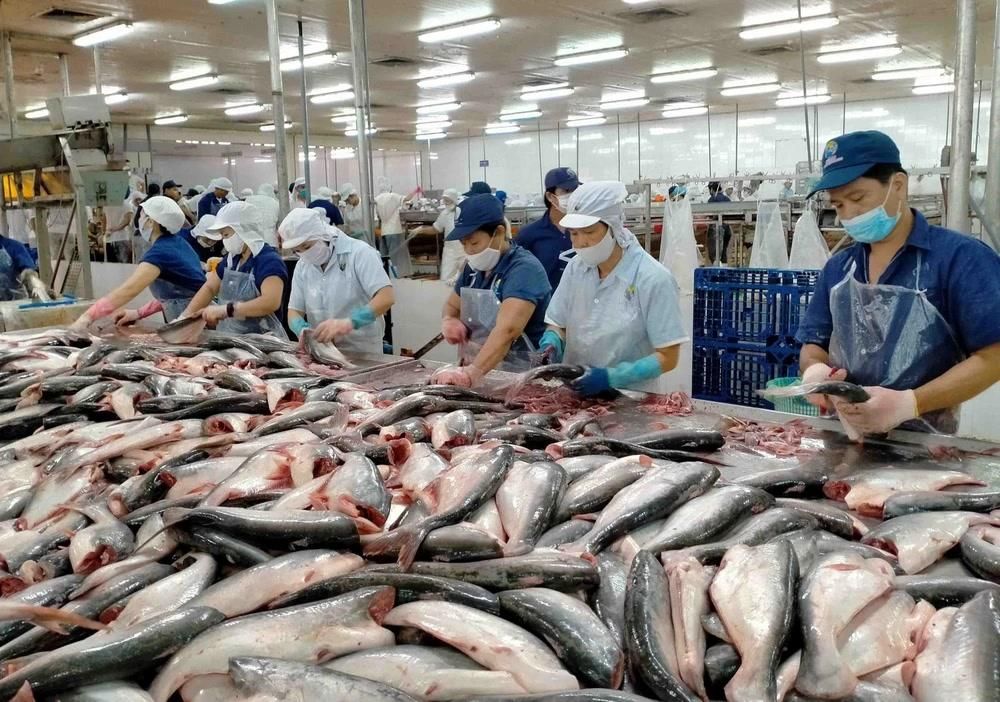 Tháng 3, Việt Nam xuất khẩu hơn 2 triệu USD cá tra sang UAE, tăng 62%. Lũy kế 3 tháng, giá trị xuất khẩu sang thị trường này đạt hơn 7 triệu USD, tăng 67%.