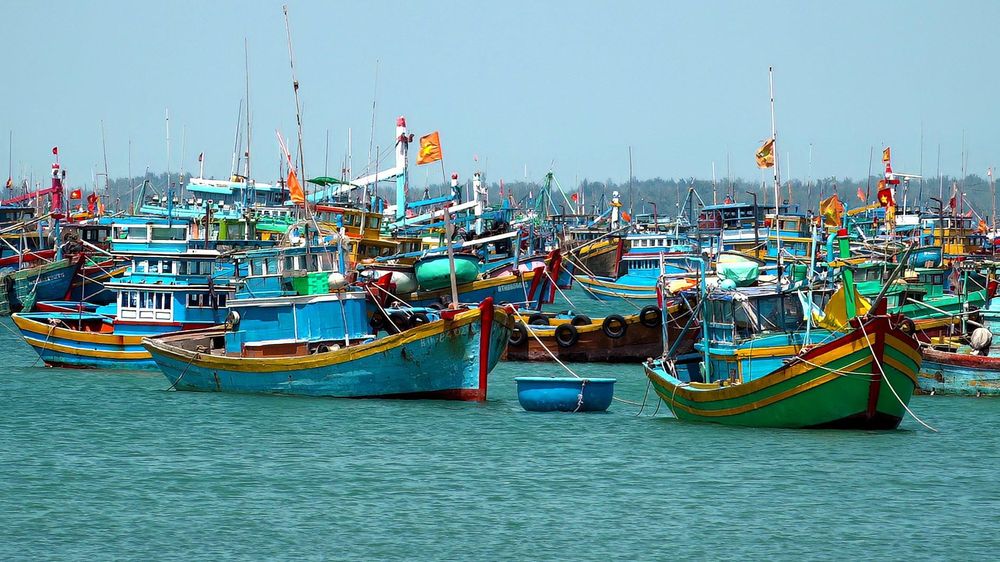 Chống khai thác IUU: Trước đợt 'sát hạch' quan trọng cuối cùng