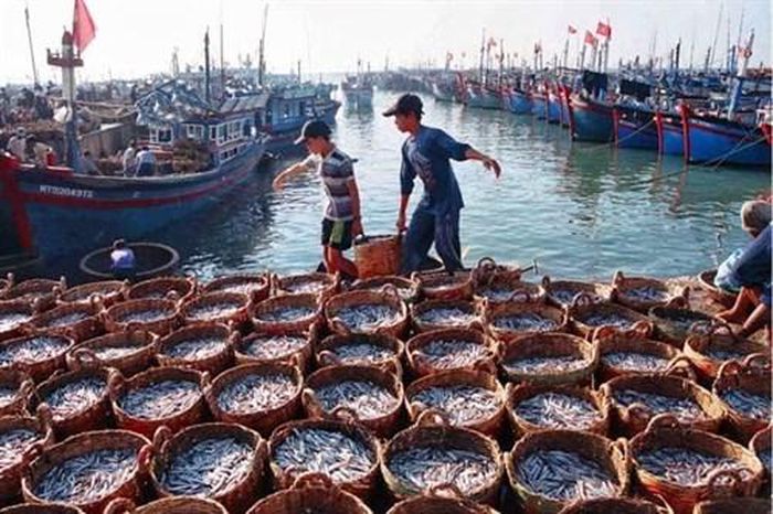 Phát triển kinh tế vùng Đồng bằng sông Cửu Long: Hiện đại hóa khai thác hải sản