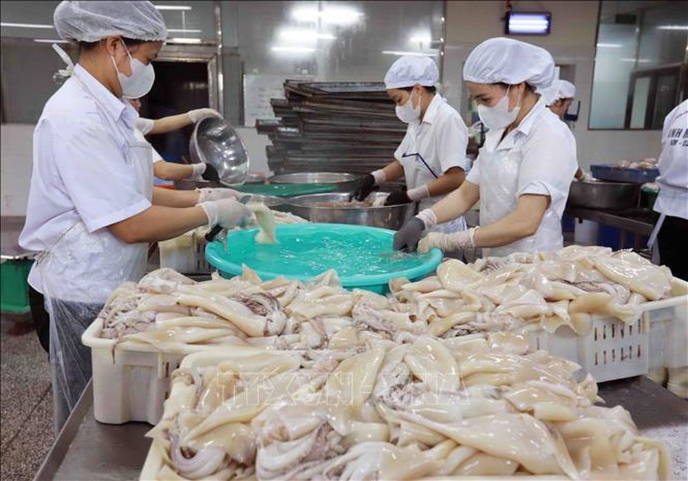 Mặc dù nhu cầu tiêu thụ thủy sản tại các thị trường chững lại sau dịp Tết, nhưng nhìn chung các doanh nghiệp chế biến và xuất khẩu thủy sản đều có doanh thu và sự phục hồi rõ rệt. Đây là cơ hội lớn cho ngành thủy sản Việt Nam tăng tốc trong những tháng tới.
