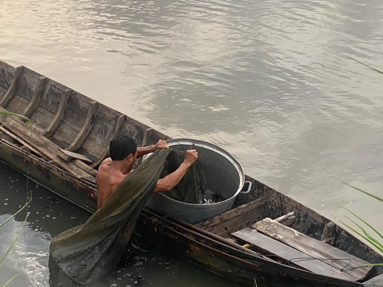 Hằng năm, vào mùa cá ra từ giữa tháng 9 đến cuối tháng 10 âm lịch, đông đảo người dân huyện Tam Nông, tỉnh Đồng Tháp thường tổ chức đánh bắt thủy sản bằng hình thức thả lưới, giăng câu, cất vó, đặt dớn, quăng chài…