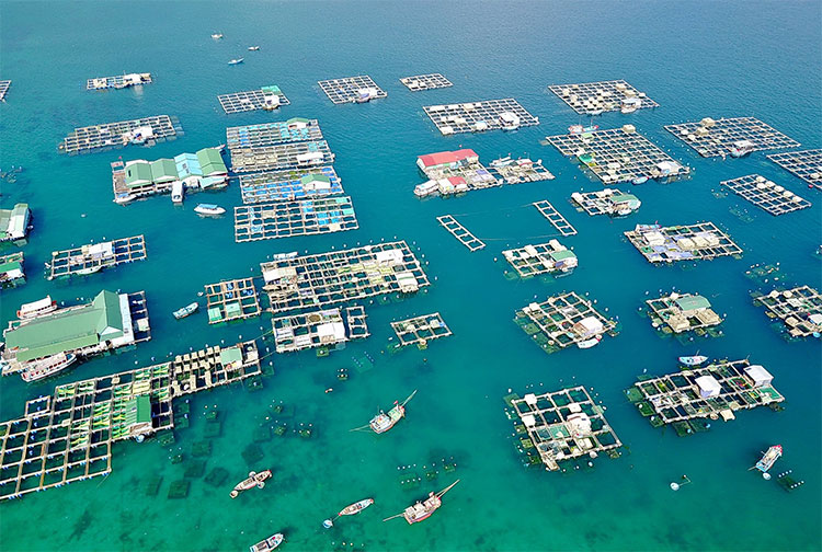 Khánh Hòa: Quy hoạch khu vực nuôi trồng thủy sản ven bờ