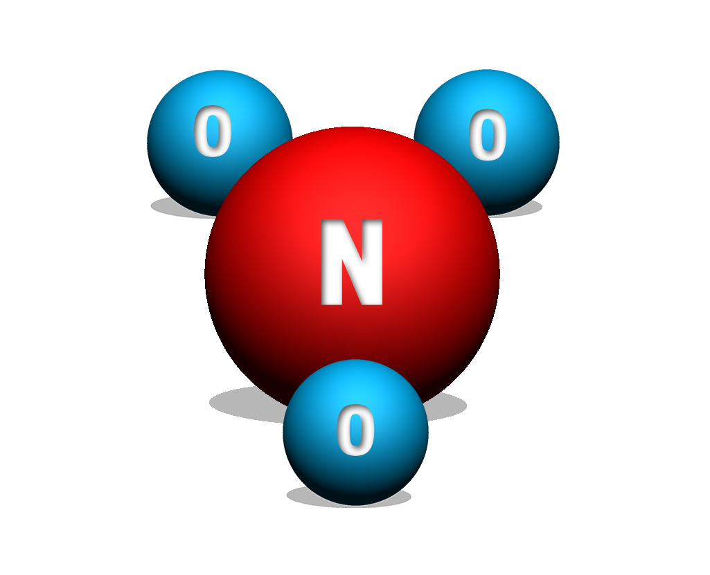 Nitrate trong thủy vực là sản phẩm của quá trình nitrate hóa nhờ hoạt động của một số vi khuẩn hóa tự dưỡng như Nitrobacter (nước ngọt) hay Nitrospina, nitrosococcus (nước lợ, mặn).