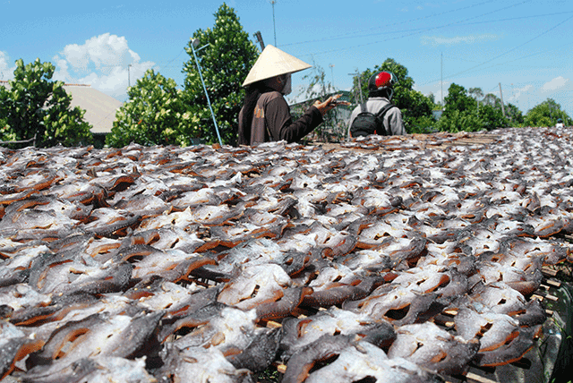 Miền Tây trù phú được thiên nhiên ban tặng nhiều loại thủy sản với sản lượng lớn. Người dân miền Tây đã sáng tạo thành những đặc sản độc đáo, trong đó phải kể các loại khô, như: khô cá lóc, khô cá kèo, khô rắn, sặc rằn, chạch… giúp hình thành các làng nghề truyền thống như: Làng tôm khô Vĩnh Kim (Trà Vinh), làng khô bổi (Cà Mau)… Nghề khô mang lại thu nhập khá cho người dân trong vùng.