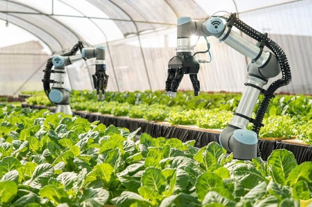 TP.HCM đặt mục tiêu giá trị sản xuất nông nghiệp công nghệ cao đến năm 2025 đạt 50%