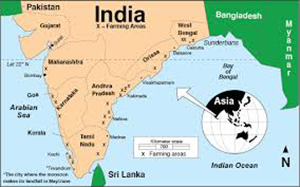 Một báo cáo gần đây cho rằng, xuất khẩu tôm của bang Odisha, Ấn Độ có thể giảm trong năm nay do cơn bão Fani xảy ra đầu tháng 5/2019.