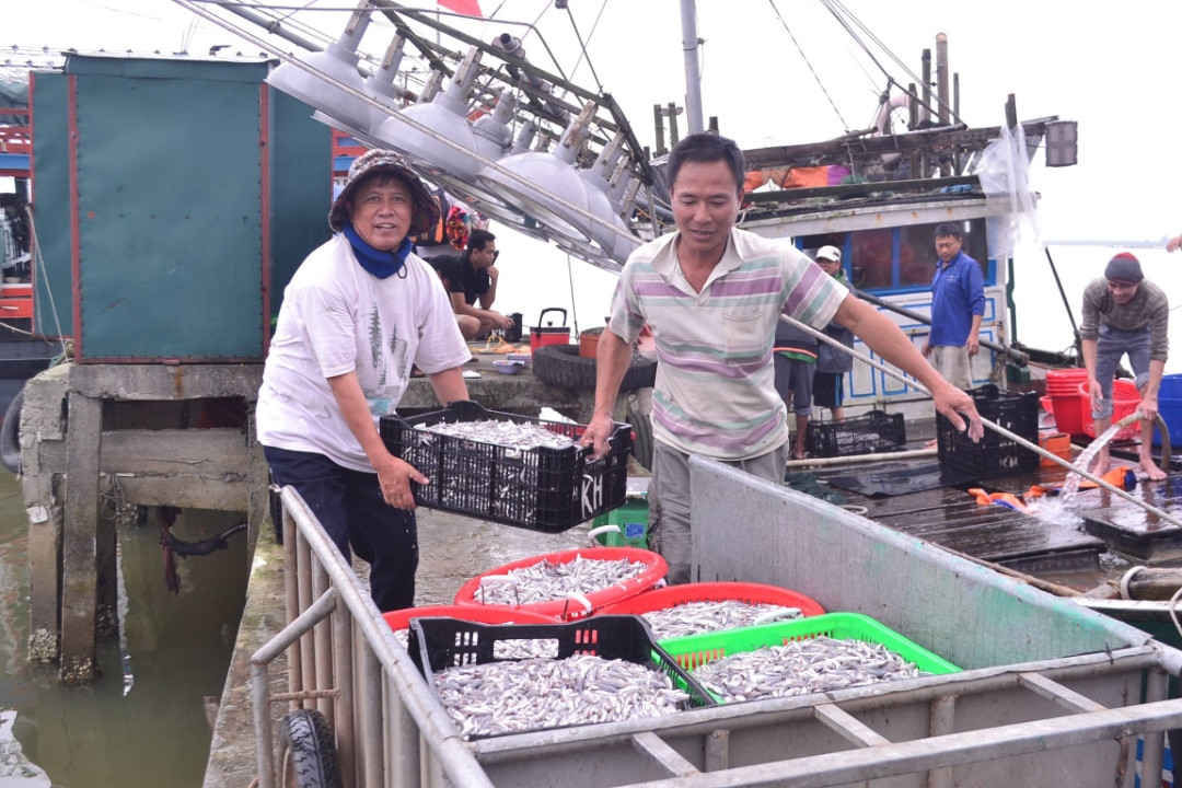 Từ đầu năm đến nay ngư dân Quảng Trị khai thác được gần 24.000 tấn thủy sản, đạt 107% so với cùng kỳ năm 2019 và đạt 88% kế hoạch năm 2020.