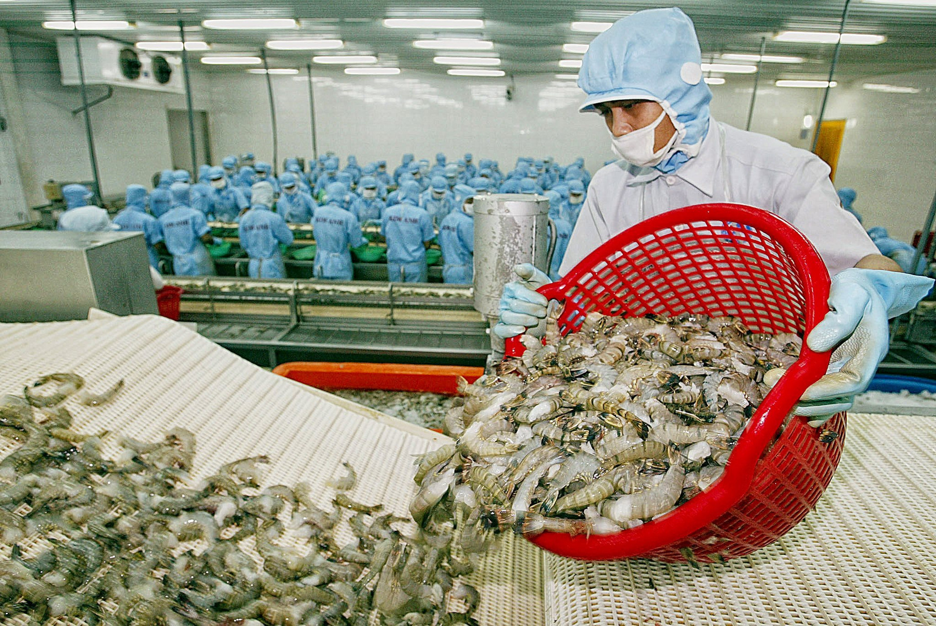 Thống kê từ Bộ Nông nghiệp và Phát triển nông thôn cho thấy, xuất khẩu nông lâm thủy sản sang thị trường Mỹ trong năm 2023 đạt 11,1 tỷ USD, chiếm 21% trong tổng kim ngạch xuất khẩu nông lâm thủy sản của Việt Nam.