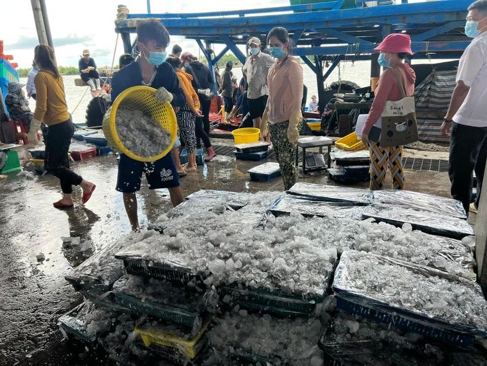 Thời gian qua, cùng với cả nước, tỉnh Cà Mau đã nỗ lực thực hiện nhiều biện pháp chống khai thác IUU để góp phần gỡ thẻ vàng của EC.