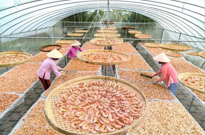 Mang đặc trưng thủy hải sản chế biến đến Hội chợ Mùa thu 2025