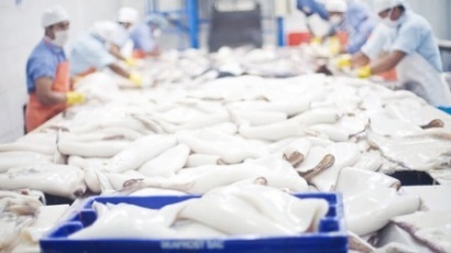 Xuất khẩu mực, bạch tuộc năm 2021 tăng 7%