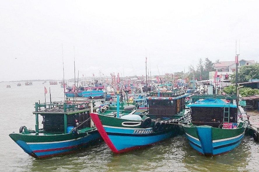 Gần 2 tỷ đồng này hỗ trợ cho huyện Phú Vang và huyện Phú Lộc để mua bảo hiểm thân tàu và bảo hiểm tai nạn thuyền viên cho tàu cá và ngư dân tham gia khai thác thủy sản ở vùng biển xa.
