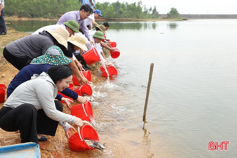 Hơn 5,5 tạ cá giống đã được thả xuống đập Cù Lây (Can Lộc, Hà Tĩnh) nhằm tái tạo và phát triển nguồn lợi thủy sản.